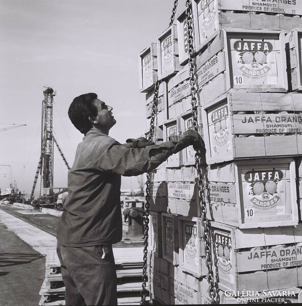 1950 Körüli "Israel"-i Narancsos Ládák