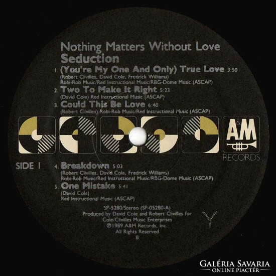 Seduction - Nothing Matters Without Love (LP, Album)