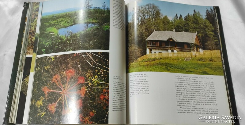 Slovakian natural beauties and rarities krásy a nážnosti slovenskéj prójdy