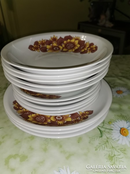 Plain sunflower plates are rare!