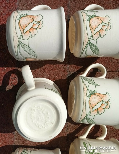 England flower pattern mug set of 6 pieces