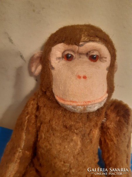 Old monkey in worn condition