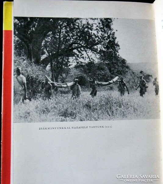 Széchenyi Zsigmond: Afrikai tábortüzek. Vadásznapló-kivonatok, 1932-1934