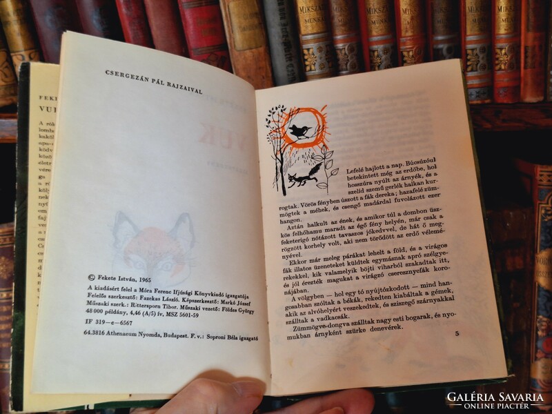 1965 első önálló kiadás!FEKETE ISTVÁN : VUK - eredeti védőboritós újszerű gyűjtői példány!