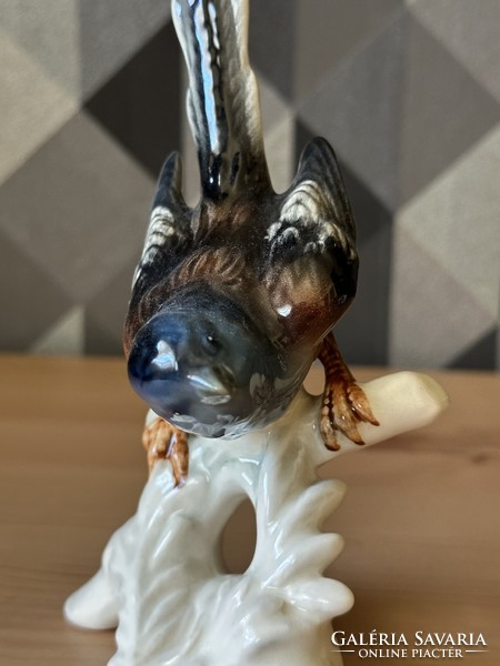 Német madár porcelán figura