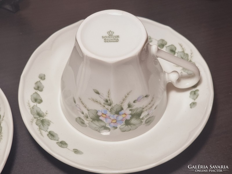 Scherzer Bavarian German porcelain coffee set, with accessories, around the middle of the 20th century.