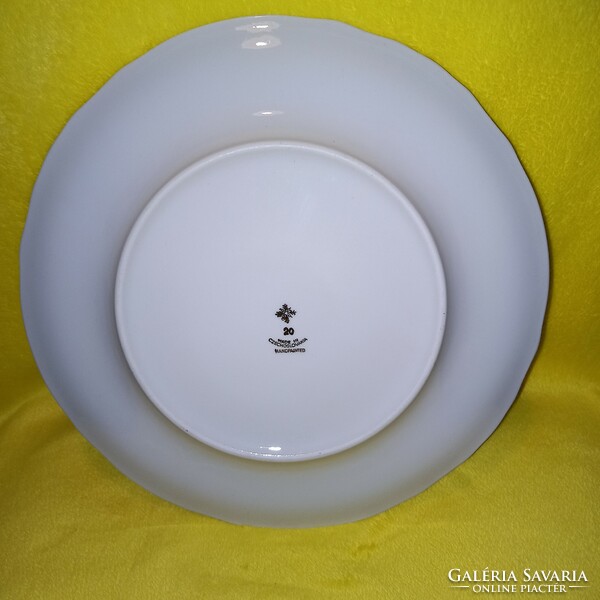 Czechoslovakia, porcelain plate with a scene of life. An offerer. Dinner plate.