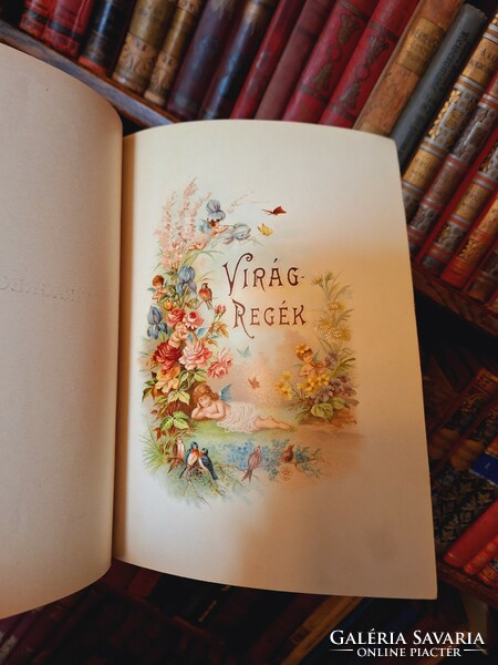 The unique collector's 1894 tompa mihály: flierregék eighth edition! With watercolor boards! Franklin