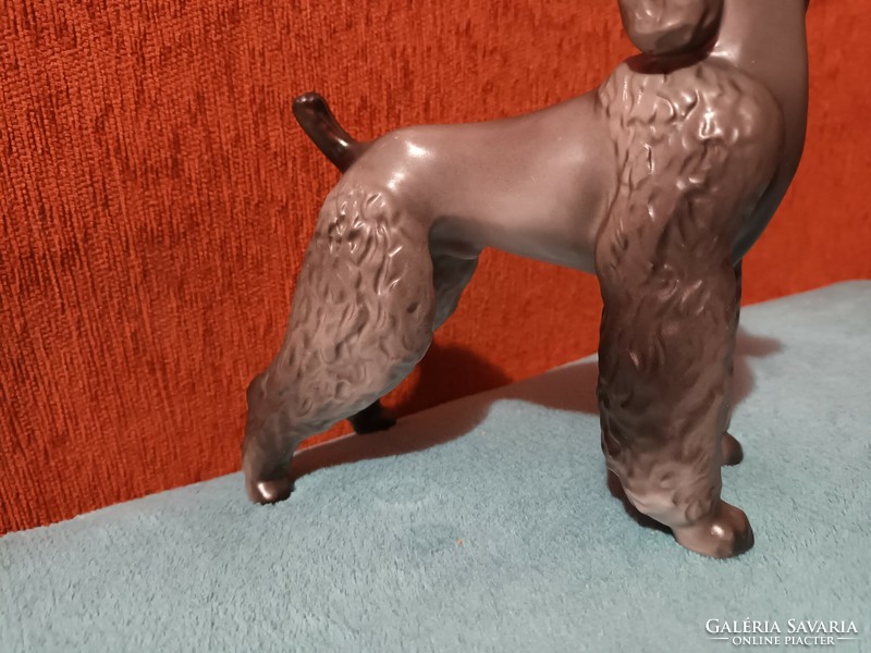 Hollóházi jelzett, festett gyönyörű nagyméretű uszkár kutyus - hibátlan