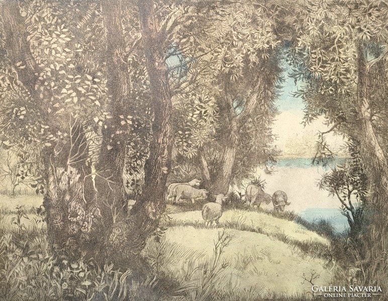 Jenő Remsey: forest edge (colored etching) landscape with lambs, animal picture