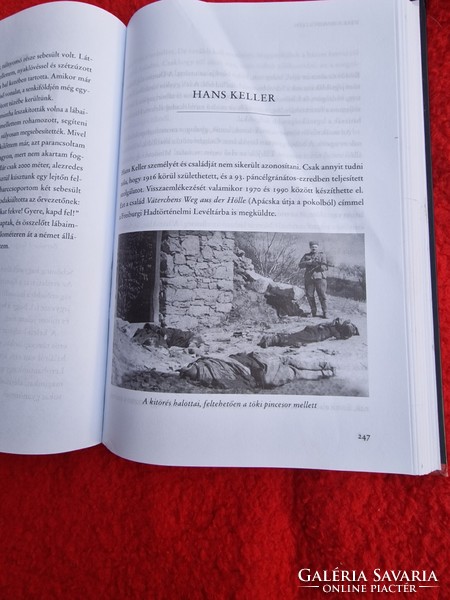 Ungváry Krisztián  Utak a senkiföldjén - Kitörés 1945 könyv