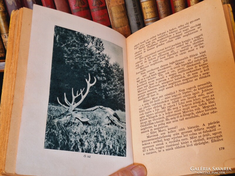 1943 Hunting!!! Zoltán K.Rhédey: from sparrow to stag-dr. Butter and bush Budapest