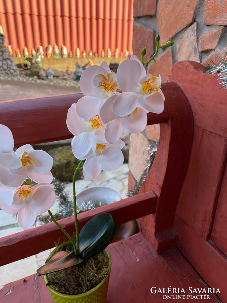 Kerámia kaspóban Gyönyörű gondozásmentes Orchidea virág műnövèny