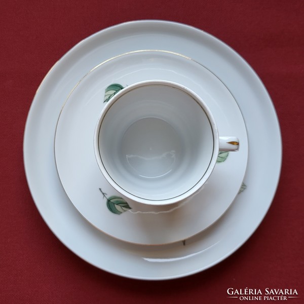 Cp colditz German porcelain breakfast set coffee cup saucer small plate with rose flower pattern