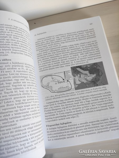 Kun ádám evolutionary biology textbook in mint condition typotex publisher