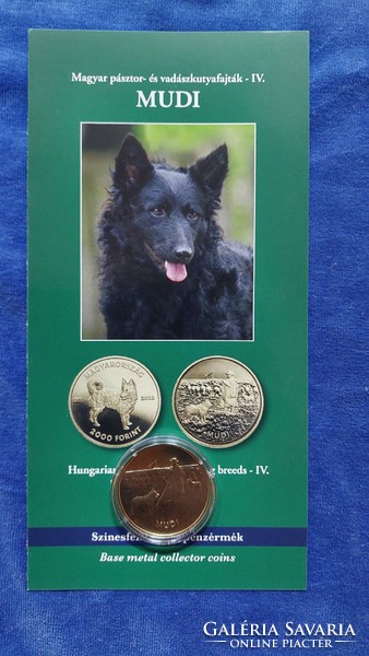 Mudi non-ferrous metal commemorative coin issued in 2022, the 4th member of the Hungarian hunting dog breed coin series!