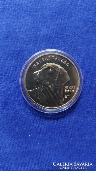 Transylvanian Hound! 5th Member of the Hungarian Dog Breeds Coin Series! Ouch!