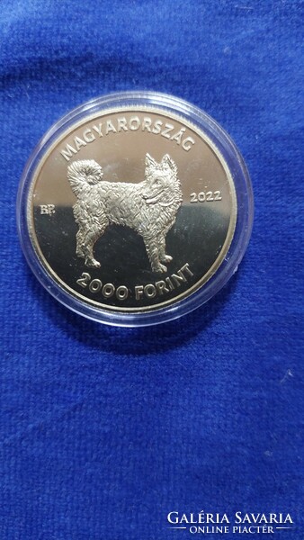 Mudi non-ferrous metal commemorative coin issued in 2022, the 4th member of the Hungarian hunting dog breed coin series!