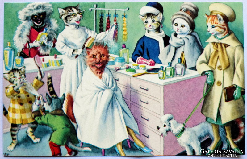 Humorous cat postcard - at the hairdresser's / new edition