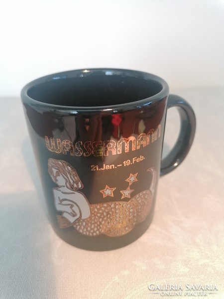 Aquarius mug