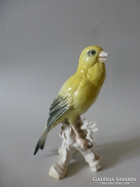 Karl ens porcelain yellow thrush