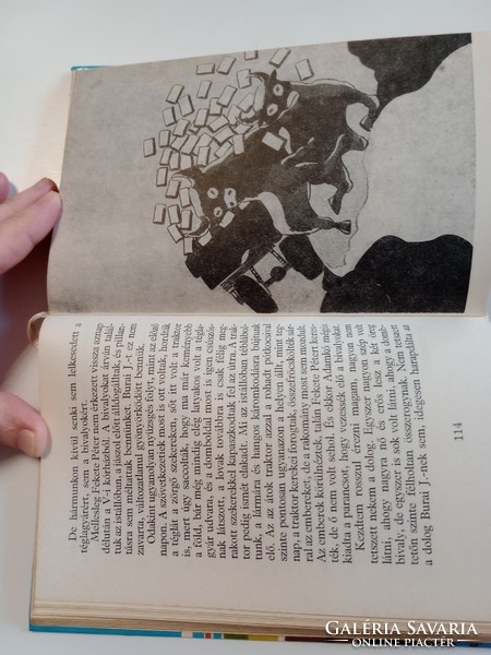Gion Nándor - Sortűz ​egy fekete bivalyért (Szenttamási történetek 2.)