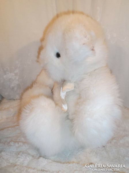 Teddy bear - 45 x 40 cm - plush - from collection - Austrian - exclusive - flawless