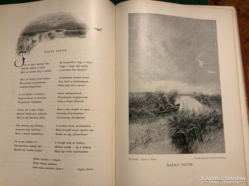 Pest diary / album of poets, 1901 edition