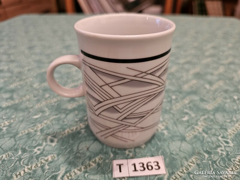 T1363 epiag mug