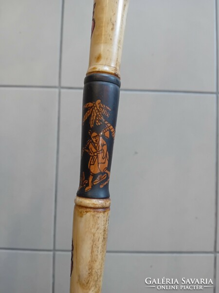 Walking stick, walking stick, bone-wood