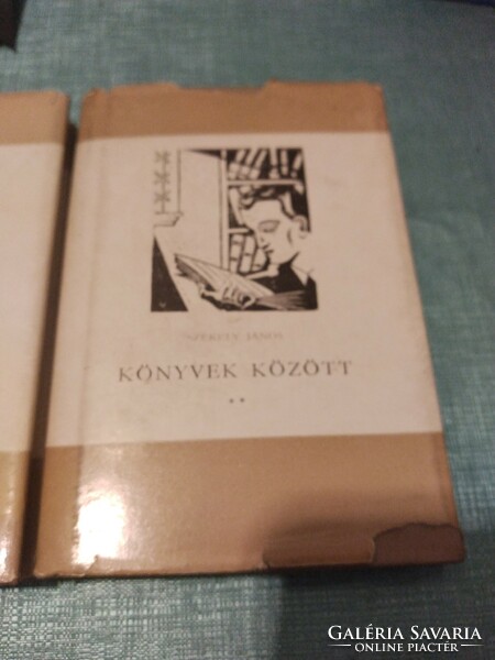 Among the books of János Székely i.And ii.1961 Dwarf books
