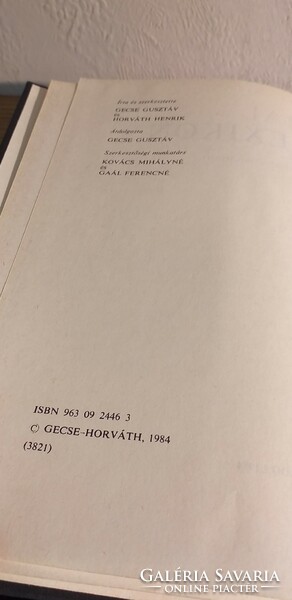 Gusztáv Gecse, Henrik Horváth - Bible encyclopedia