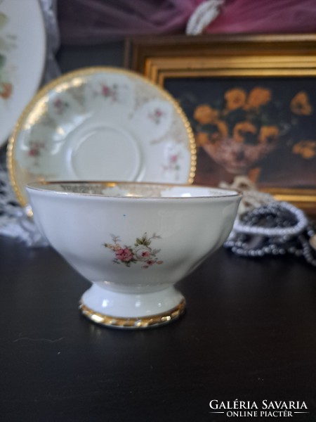 Bavaria johann haviland porcelain tea cup