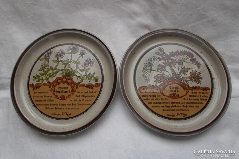 Decorative plate with medicinal plant pattern, 2 wall plates