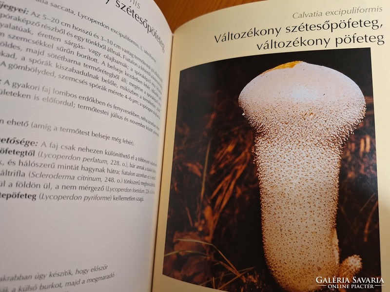 Handbook of fungi. HUF 8,500