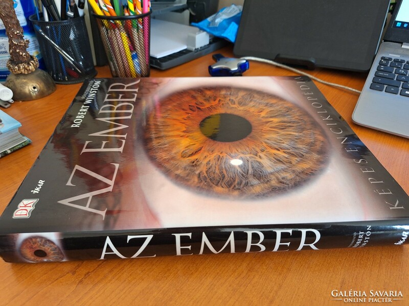 Robert Winston: Az ember  4550.-Ft