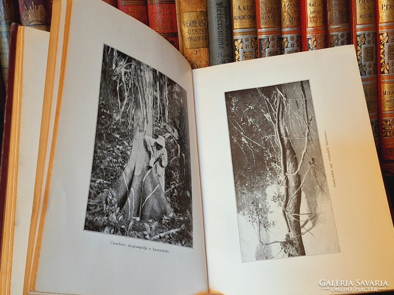 1930 F.W. Up de graf: in the primeval forests of the Amazon, the library of the Hungarian Geographical Society