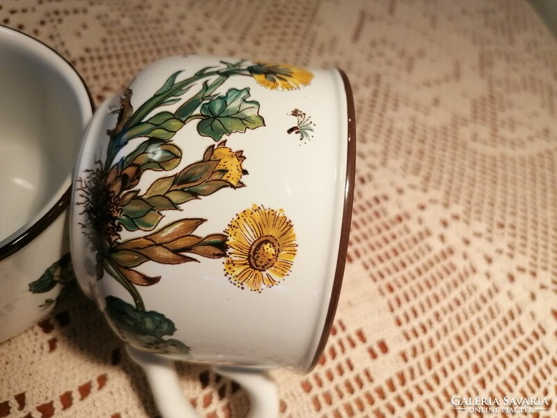 Villeroy and boch botanica tea cup