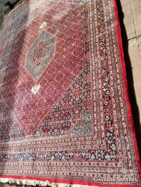 Carpet Iranian bidjar 2.5 x 3.5 m, wool, hand knotted