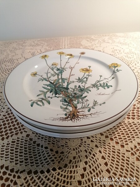 Villeroy and boch botanica plates 24 cm. Booked as Terezbacsi user.
