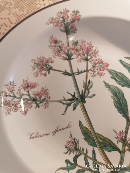 Villeroy and boch botanica valeriana officinalis deep plate 22 cm reserved for Terezbacsi user