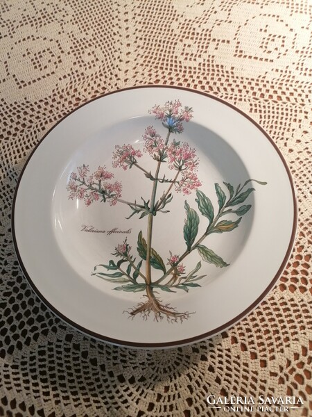 Villeroy and boch botanica valeriana officinalis deep plate 22 cm reserved for Terezbacsi user