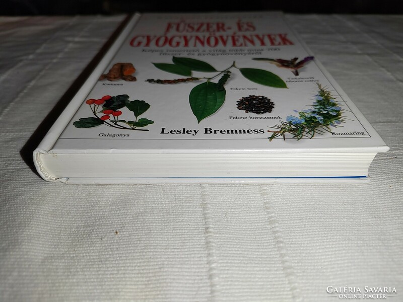 Lesley Bremness: Spices and Herbs