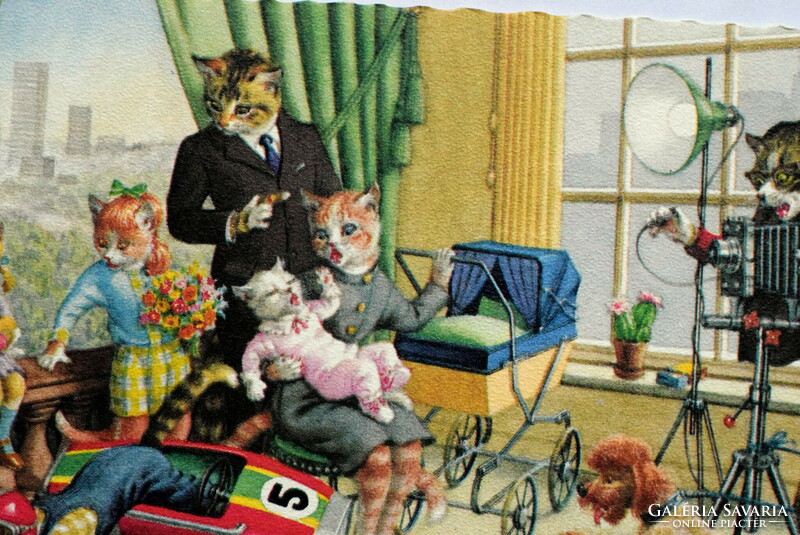Régi retro humoros grafikus képeslap cica  család a fényképésznél