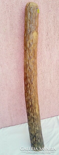 Exotic folk instrument. Two-handed rain-making rattle in the shape of a tree branch