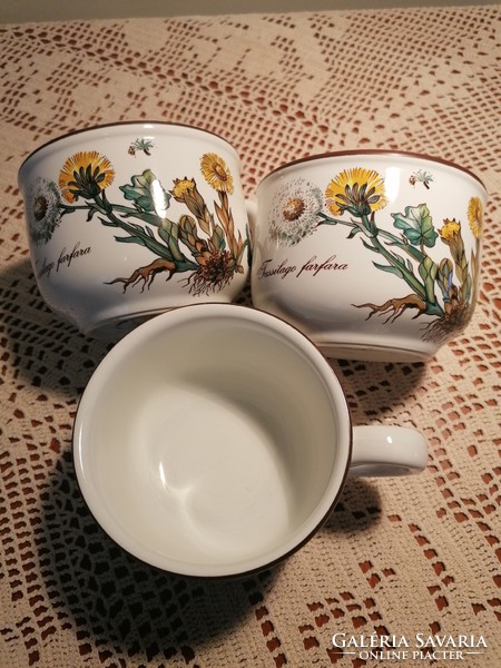 Villeroy and boch botanica tea cup