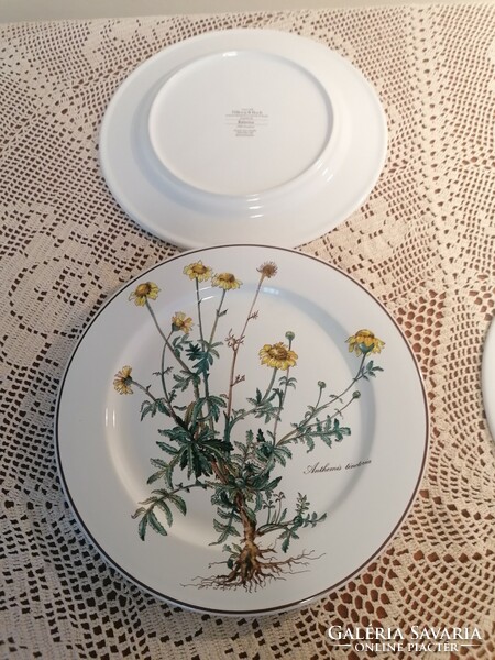 Villeroy and Boch Botanica tányérok  24 cm. Foglalva terezbacsi felhasználónak.