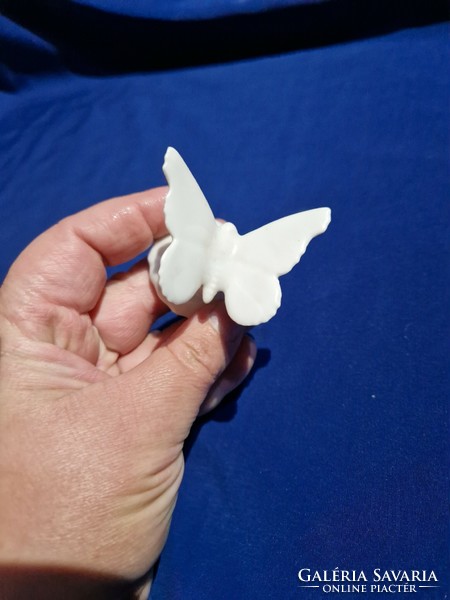White porcelain butterfly butterfly