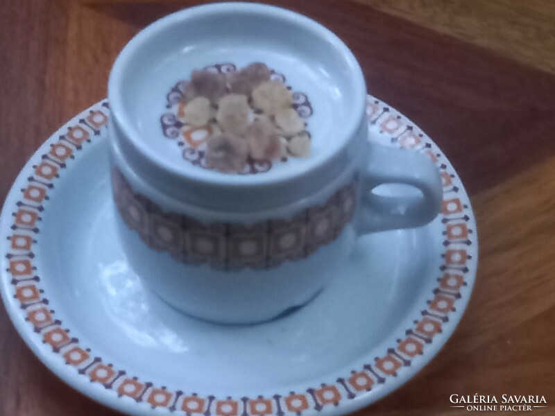 Kádár socialist design: lowland porcelain terracotta coffee set for 12 people