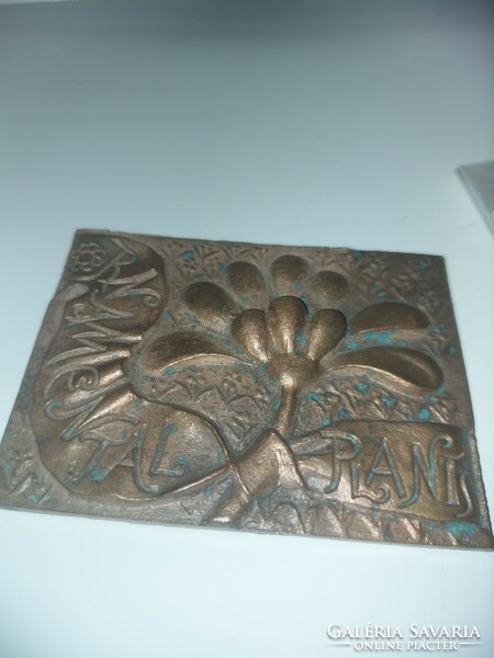 Rajki, bronz plakett, 73x97 mm, 323 gr